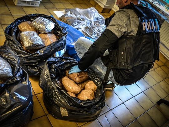 W kołach przewoził ponad 50 kg narkotyków o wartości 1,5 mln złotych. WIDEO