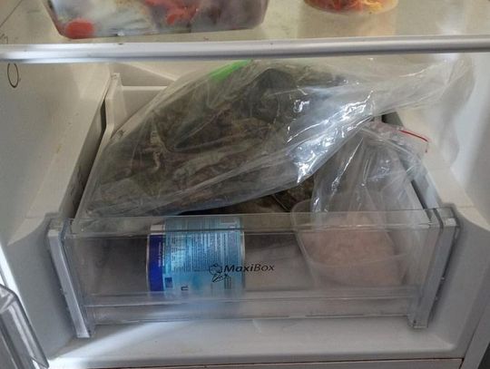 W lodówce znaleźli 2 kilogramy narkotyków. Diler trzymał je razem z jedzeniem