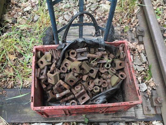 W maju próbowali przekonać policjantów, że wybrali się do lasu na grzyby. Para miała kilof, łom i szlifierkę
