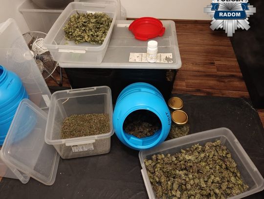 W mieszkaniu trzymał dwa kilogramy marihuany. Folia wisząca w drzwiach miała zatrzymać jej zapach W mieszkaniu trzymał dwa kilogramy marihuany. Folia wisząca w drzwiach miała zatrzymać jej zapach