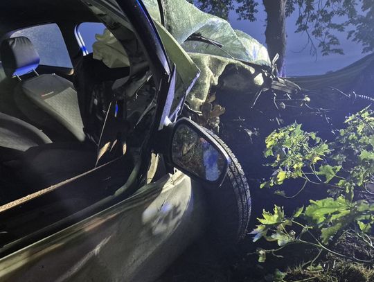 W trakcie wyprzedzania Ford wypadł z drogi i wbił się w drzewo. 19-letni kierowca nie przeżył