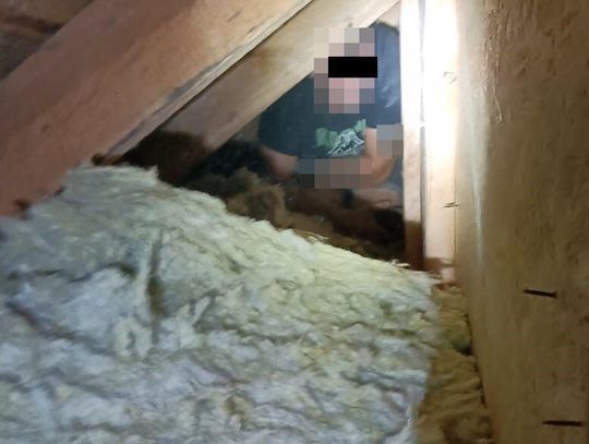 „W zły dzień trafiliście” – rodzina próbowała zmylić policjantów, poszukiwany krył się na strychu