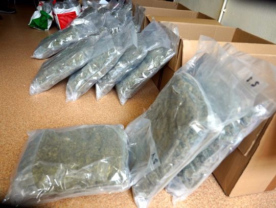 Warszawscy policjanci przejęli ponad 30 kilo narkotyków. Wśród zatrzymanych pseudokibic [WIDEO]