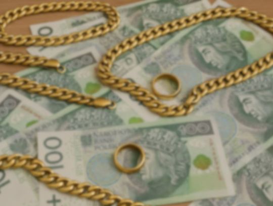 Wchodzili na cudze posesje i je okradali. Policjanci zatrzymali dwóch obywateli Ukrainy