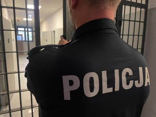 Wezwał policjantów do swojego mieszkania, a potem zaatakował jednego z nich gazem