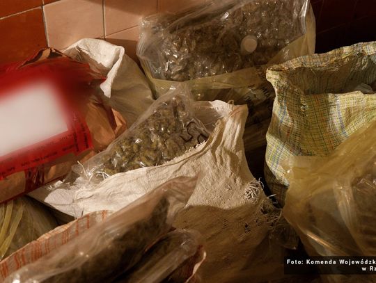 Wielki przemyt z Hiszpanii przerwany. Georadar odkrył narkotyki zakopane w beczkach [WIDEO]