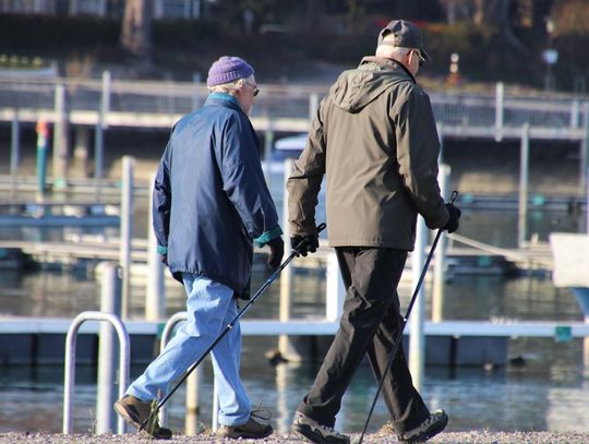 Wjechał autem w sklep. Kierował z fotela pasażera za pomocą kijków do nordic walking