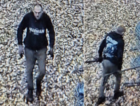 Włamali się do hali produkcyjnej i ją okradli. Policjanci opublikowali wizerunki sprawców