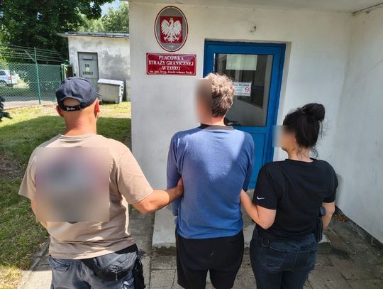 Włamywacz "pokonany" przez robota koszącego. Próbował go ukraść