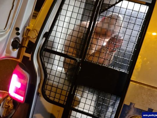 Włamywacze złapani na gorącym uczynku. Jeden ruszył z kastetem i nożem na policjantów