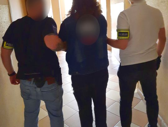 Właściciel biura podróży i jego pracownicy wyłudzili setki tysięcy złotych od firm ubezpieczeniowych