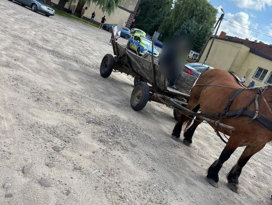 Woźnica miał blisko dwa promile we krwi. Koń zaczął cofać na drodze i spowodował kolizję z autem