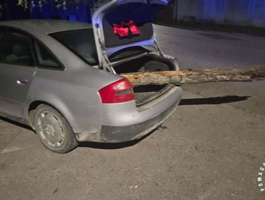 Wracał z grzybów z 4 promilami i kłodą wystającą z bagażnika. Po kolizji uciekł pieszo