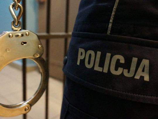 Wspólna akcja polskiej i holenderskiej policji. Zatrzymali 33-letniego pedofila