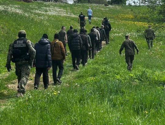Wspólna akcja Straży Granicznej i WOT. 14 nielegalnych migrantów wpadło przy granicy z Litwą Wspólna akcja Straży Granicznej i WOT. 14 nielegalnych migrantów wpadło przy granicy z Litwą