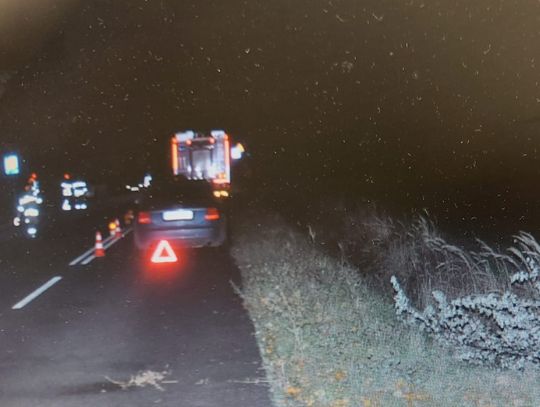 Wybiegła z auta po kolizji z łosiem. W otwarte drzwi uderzyło audi. Kobieta została ranna