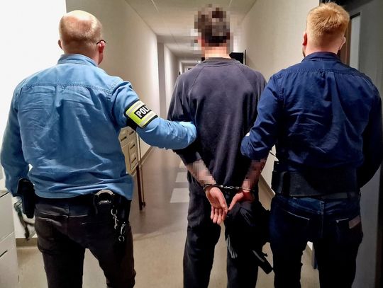 Wyprowadzał kota na smyczy. Podrzucał i kopał zwierzęciem, zareagowali świadkowie Wyprowadzał kota na smyczy. Podrzucał i kopał zwierzęciem, zareagowali świadkowie