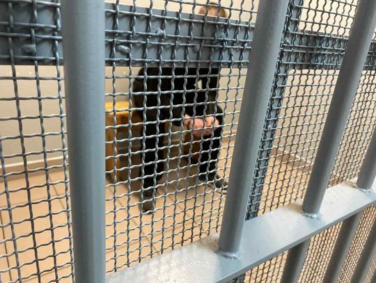 Wyszedł z aresztu i od razu złamał zakaz zbliżania się do matki. Znów trafił za kraty