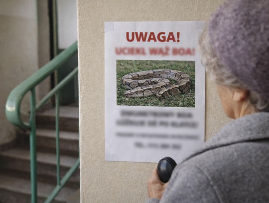 Wywiesił na klatce ogłoszenie, że uciekł mu wąż boa. Żart primaaprilisowy przestraszył ludzi