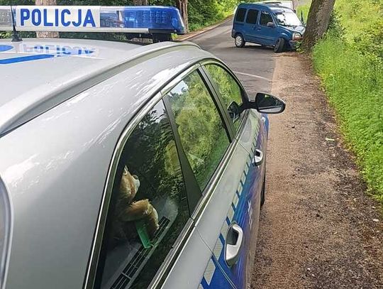 Z 1,5 promila wjechał w drzewo na prostej drodze. Kierowca dostawczaka zatrzymany przez policję