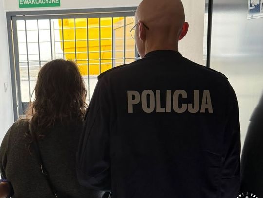 Z firmowej kasy zniknęło 225 tysięcy złotych. Zatrzymano pracownicę salonu samochodowego