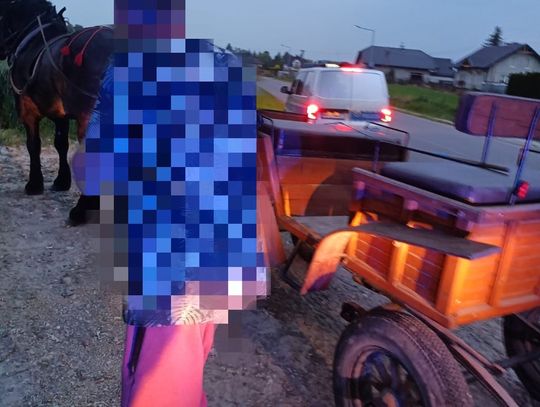 Z ponad trzema promilami tak powoził końmi, że szły całą szerokością drogi. Kierowcy wezwali policję
