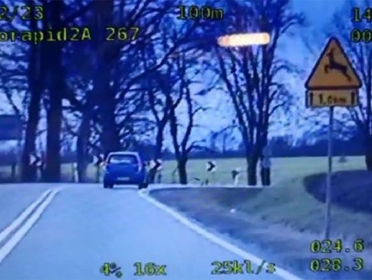 Za szybko z dziećmi i psem. Auto wypadło z drogi na oczach policjantów. WIDEO