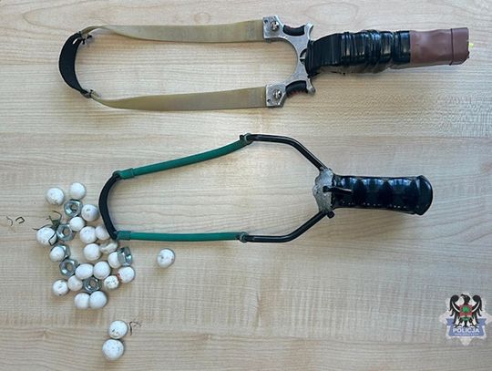 Zabijał gołębie, strzelając do nich z procy. 47-latek zatrzymany za znęcanie się nad zwierzętami