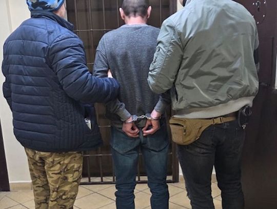 Zabił kota koleżanki. Mężczyzna skazany na rok bezwzględnego więzienia