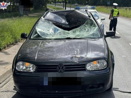 Zabił pieszego na pasach i uciekł. Kierowca i jego koledzy zatrzymani po tragicznym wypadku