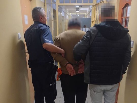 Zablokował przejazd tirem i odepchnął policjanta. 62-letni kierowca z Ukrainy wydalony z Polski