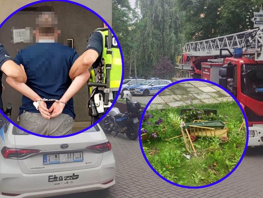 Zaczęło się od tego, że wjechał w rabatkę, skończyło na szarpaninie z policją. Mężczyzna wylądował w celi