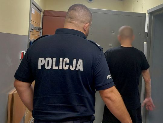 Zaczepiał chłopaków w parku i dotykał ich koleżankę. Potem zaatakował policjantów. Mężczyzna będzie deportowany