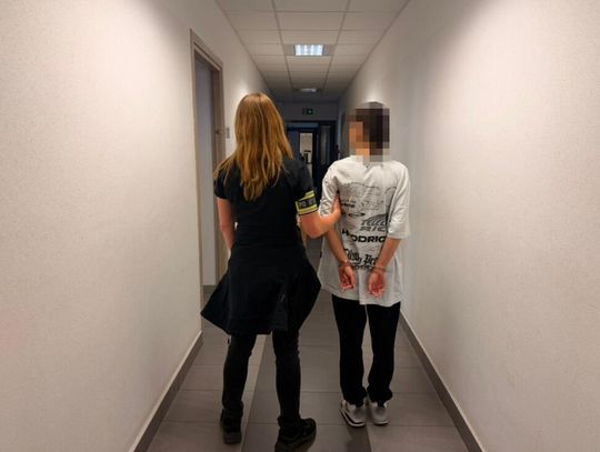 Zamawiali kurs, pryskali kierowców gazem i okradali. Zatrzymana para 20-latków Zamawiali kurs, pryskali kierowców gazem i okradali. Zatrzymana para 20-latków