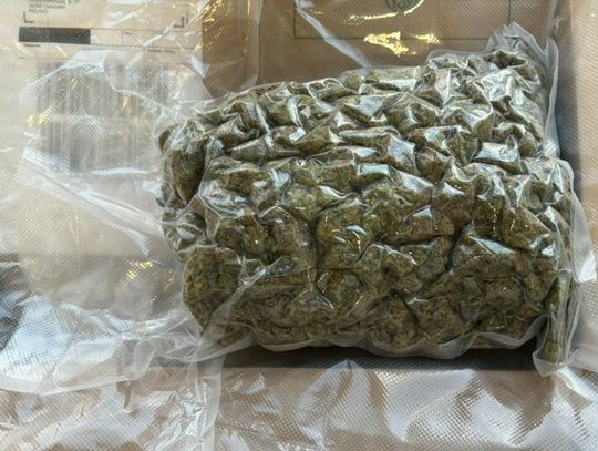 Zamówił pół kilo marihuany z Hiszpanii z dostawą do paczkomatu. Chwilę po wyjęciu towaru zatrzymali go kryminalni [FOTO]