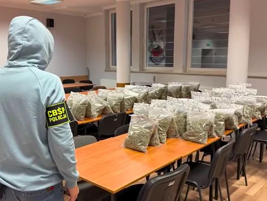 Zamówił ponad 50 kg narkotyków z Hiszpanii. Przesyłka była tak duża, że przyszła na palecie