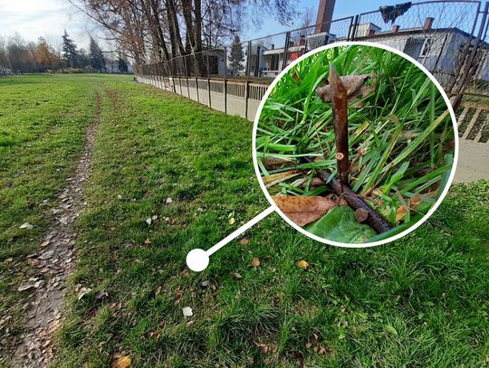 Zaostrzone metalowe pręty wbite w trawnik na osiedlu. "Celowo, żeby kogoś zranić"