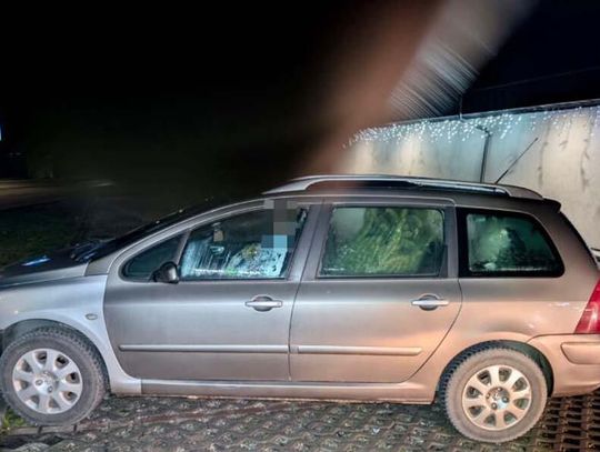 Zapakował dwie choinki do samochodu i odjechał bez płacenia. Mężczyzna miął 2 promile