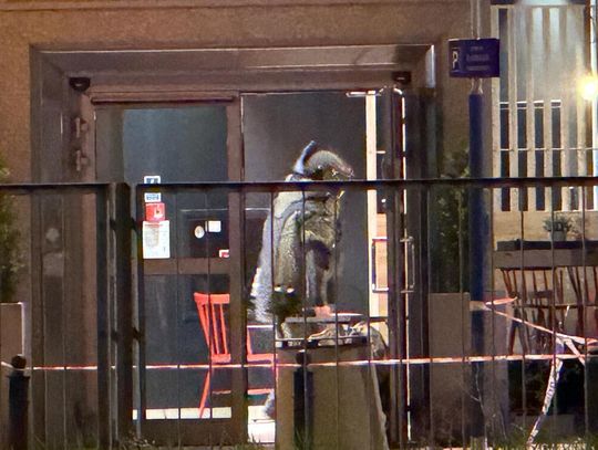 Zaplombowany plecak na stacji paliw. Ewakuacja ludzi i akcja kontrterrorystów