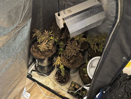 Zaprosiły go na drinka, spotkanie skończyło się pobiciem. Policja znalazła w domku broń i narkotyki