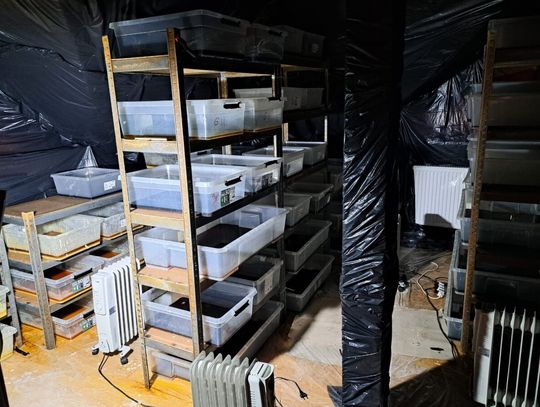 Zasadzka na lotnisku i zlikwidowane laboratorium. Policjanci przejęli narkotyki warte 22,5 miliona