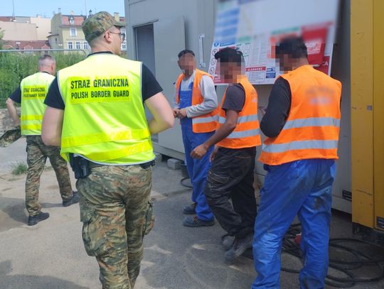 Zatrważający wynik kontroli Straży Granicznej. Ponad 80 obcokrajowców pracowało nielegalnie