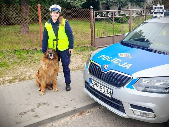Zawiózł dziecko do szkoły, do auta wskoczył mu duży pies. Dzięki policjantce historia ma szczęśliwy finał