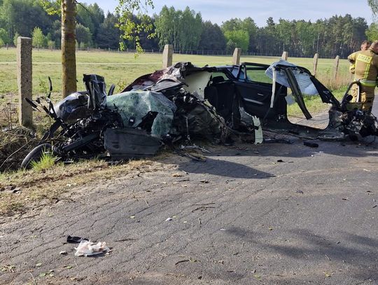 Zderzenie z łosiem zakończyło się tragedią. Nie żyje kierowca BMW. Pasażer w szpitalu