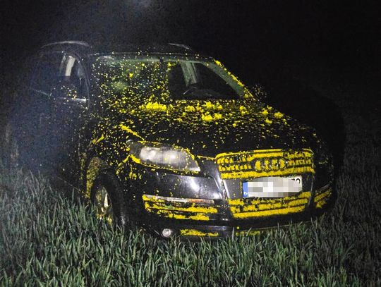 Zgłosiła fikcyjną kradzież samochodu, żeby chronić partnera. Audi porzucił w polu rzepaku