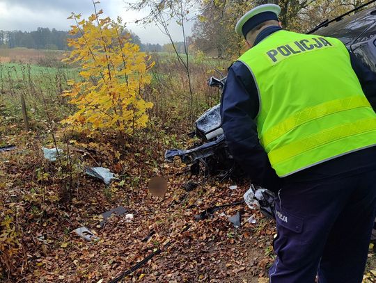 Zjechał na pobocze i uderzył czołowo w drzewo. Kierowca Volkswagena zginął na miejscu