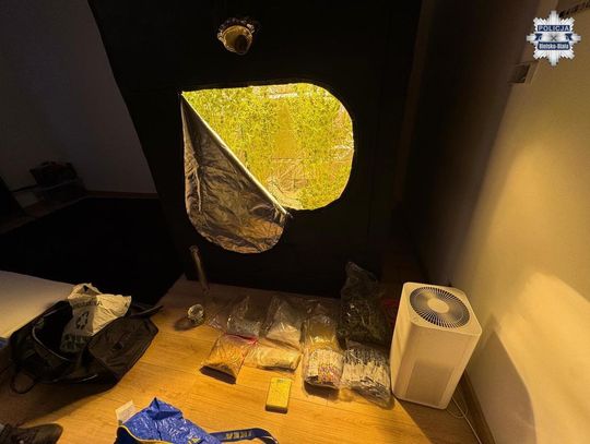 Zlikwidowana plantacja i przejęte ponad 5 kg narkotyków. Dwie osoby trafiły do aresztu