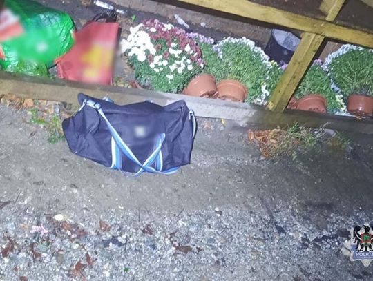 Złodzieje chryzantem wpadli na gorącym uczynku. Zniknęło 39 donic. Część zdążyli sprzedać