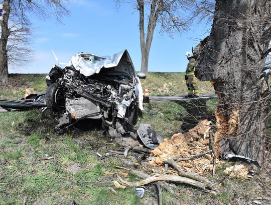 Zmiażdżone auto i wyrwany kawałek pnia. Siła uderzenia była ogromna. Kierowca w szpitalu