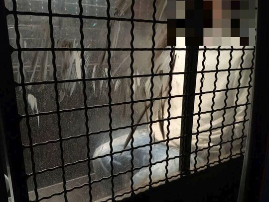 Znęcał się nad partnerką i straszył ją nożem. Domowy agresor musiał opuścić mieszkanie